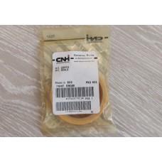 CNH Seal Kit 1542879C1